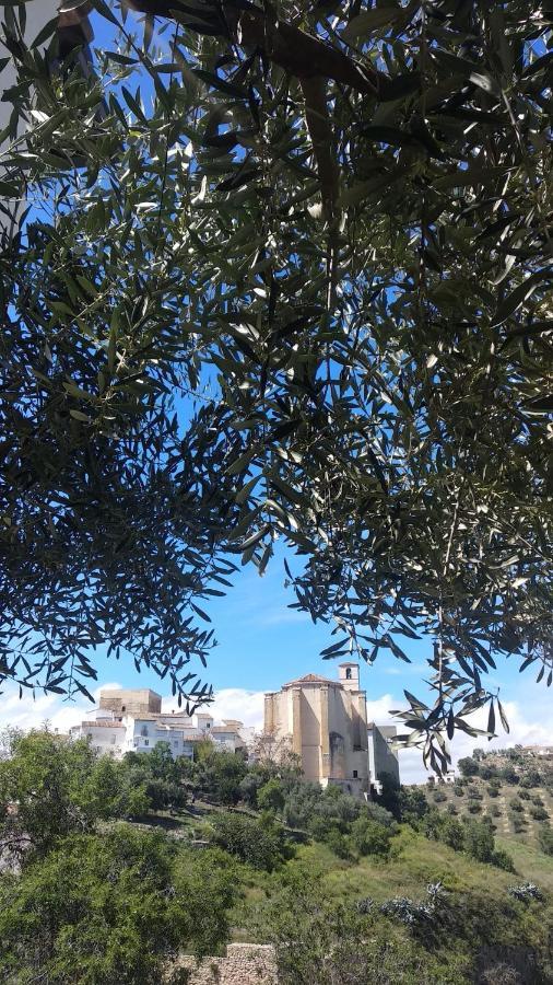 Apartamento El Carmen Setenil De Las Bodegas Exteriör bild