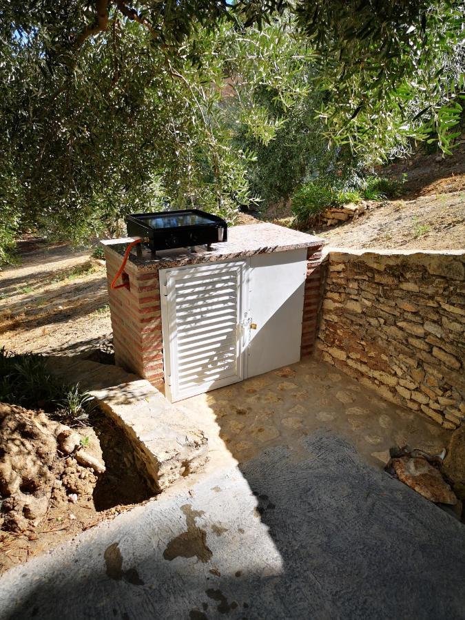 Apartamento El Carmen Setenil De Las Bodegas Exteriör bild